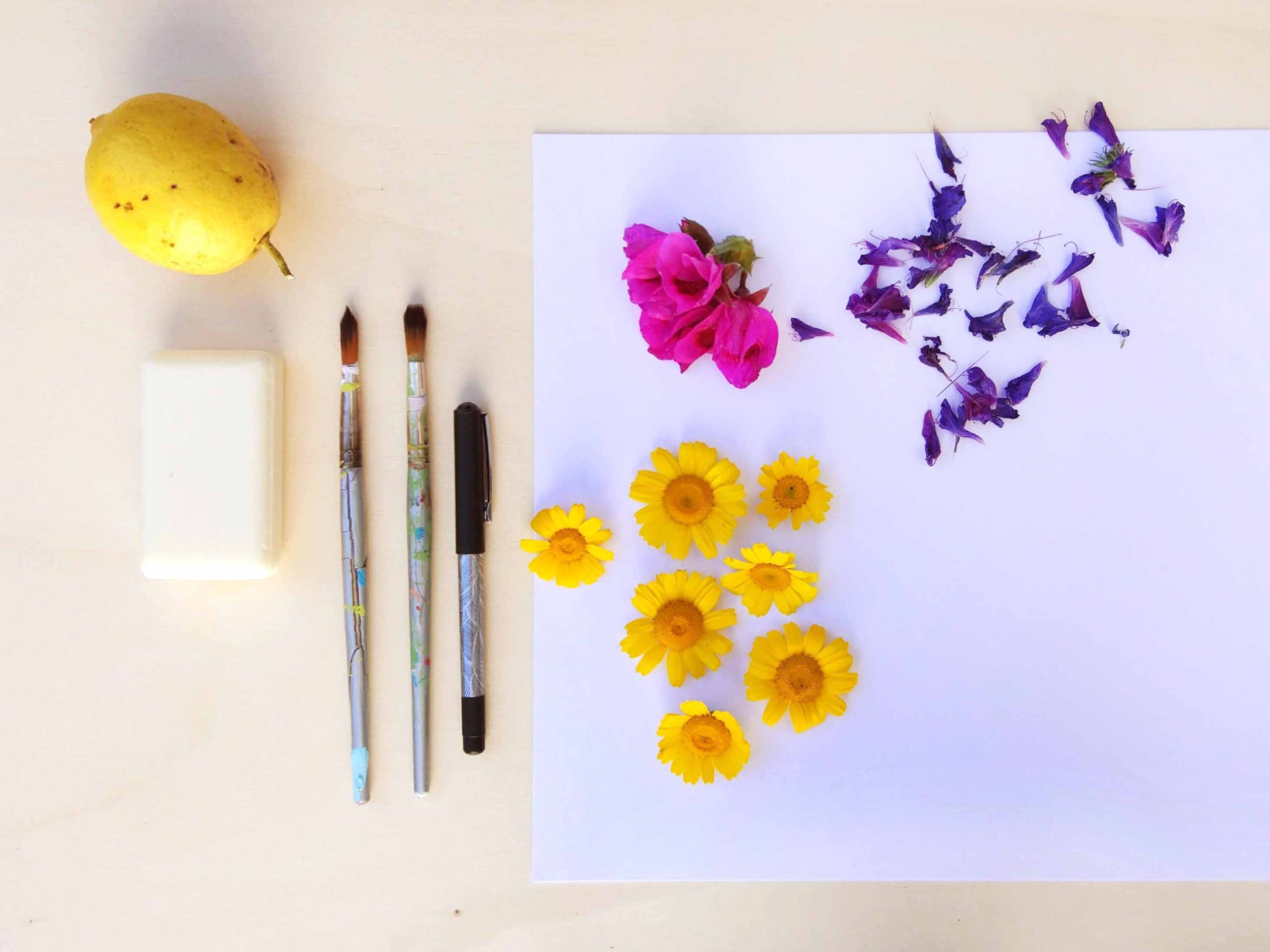 pintura flores diy