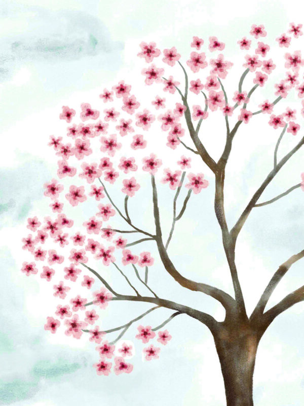 Ilustração "Flor de Cerejeira" - Image 6