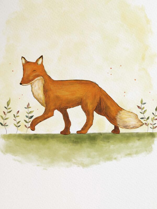 Ilustração "Raposa" - Image 3