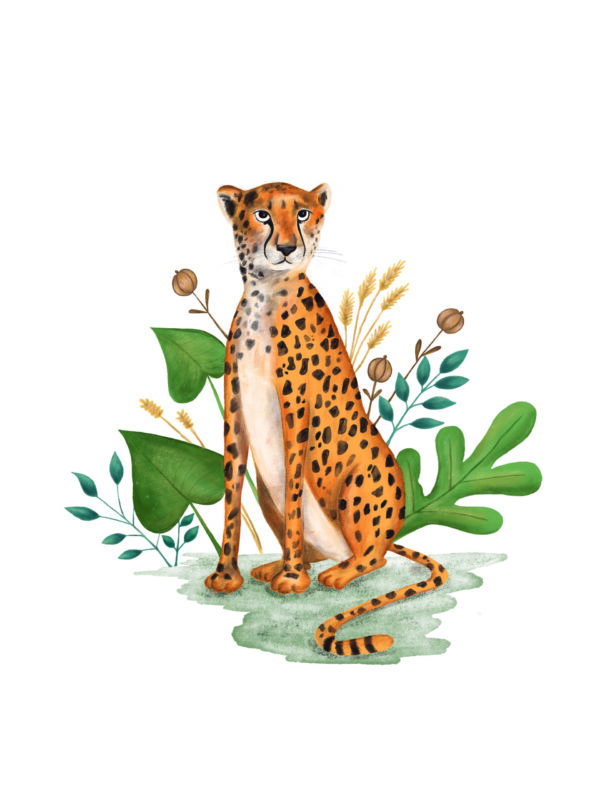 Ilustração "Chita" - Image 4