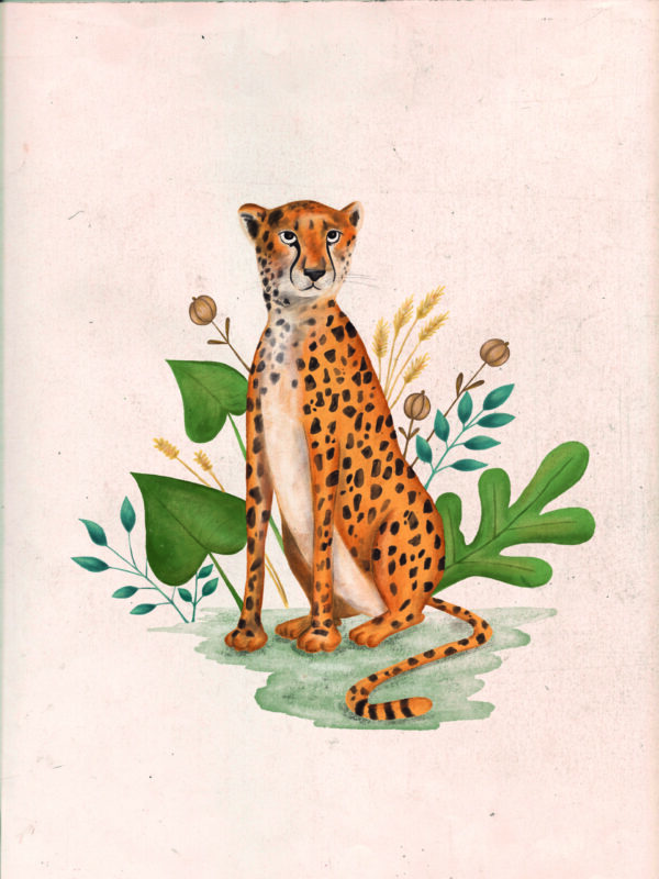 Ilustração "Chita" - Image 8